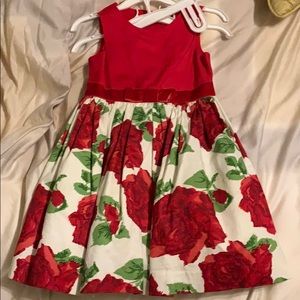 Beautiful Rose dress